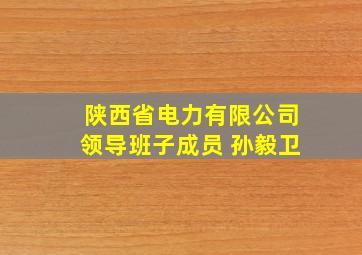 陕西省电力有限公司领导班子成员 孙毅卫